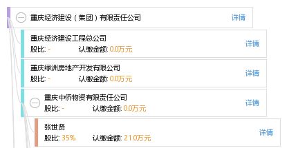 重庆经济建设集团工商信息与信用报告查询指南