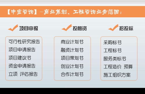 恩平项目可行性报告代写与经济信息咨询一站式服务解析